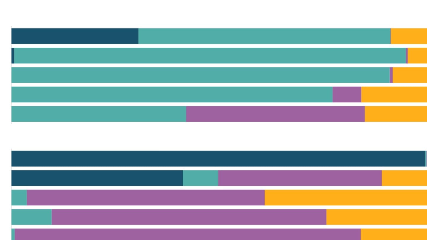 What do India's graduates do?