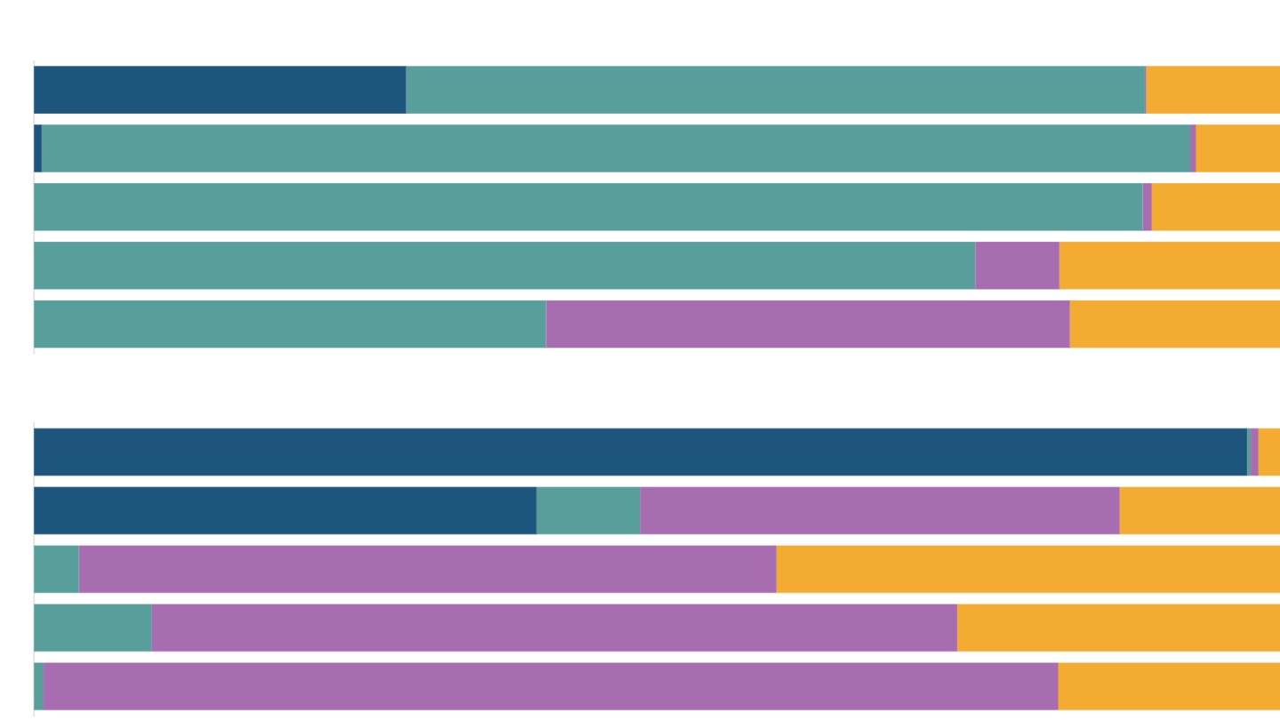What do India's graduates do?
